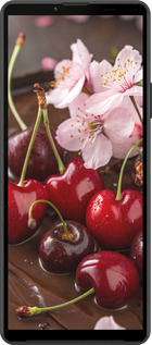 Силиконовый чехол Вишня в шоколаде для Sony Xperia 10 IV - 6698u-2789 изображение 