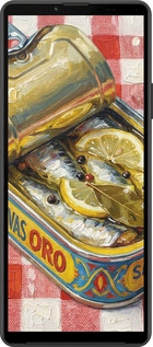 Силиконовый чехол Vintage Sardine Tin Phone для Sony Xperia 10 IV - 6772u-2789 изображение 