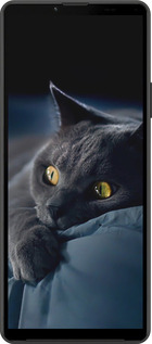 Силиконовый чехол Дымчатый кот для Sony Xperia 10 IV - 825u-2789 изображение 