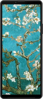Силиконовый чехол Винсент Ван Гог. Сакура для Sony Xperia 10 IV - 841u-2789 изображение 
