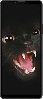 Силиконовый чехол Чёрная кошка для Sony Xperia 10 IV - 932u-2789 изображение 