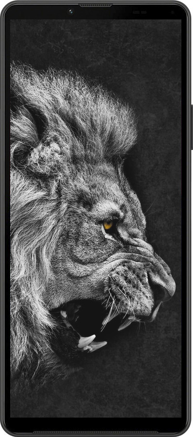 Силіконовий чехол Лев для Sony Xperia 10 IV - 1080u-2789 изображение 