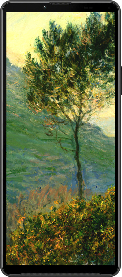 Силиконовый чехол Клод Моне для Sony Xperia 10 IV - 1193u-2789 изображение 