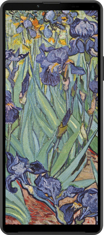 Силиконовый чехол Винсент Ван Гог. Ирисы для Sony Xperia 10 IV - 161u-2789 изображение 