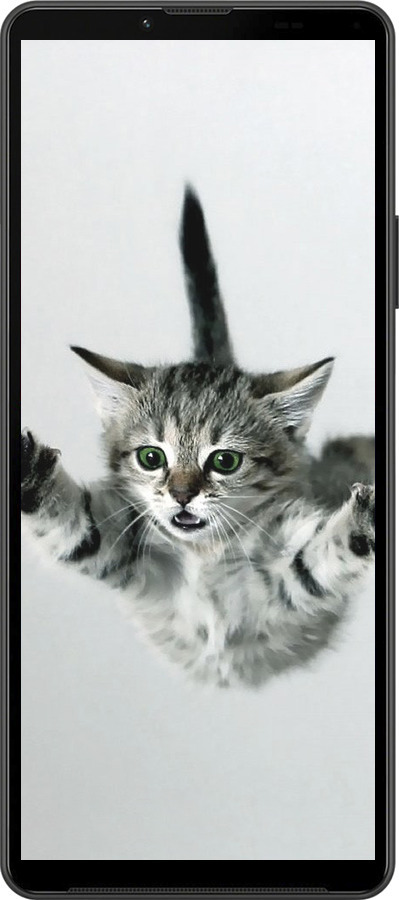 Силіконовий чехол Літаюче кошеня для Sony Xperia 10 IV - 2322u-2789 изображение 