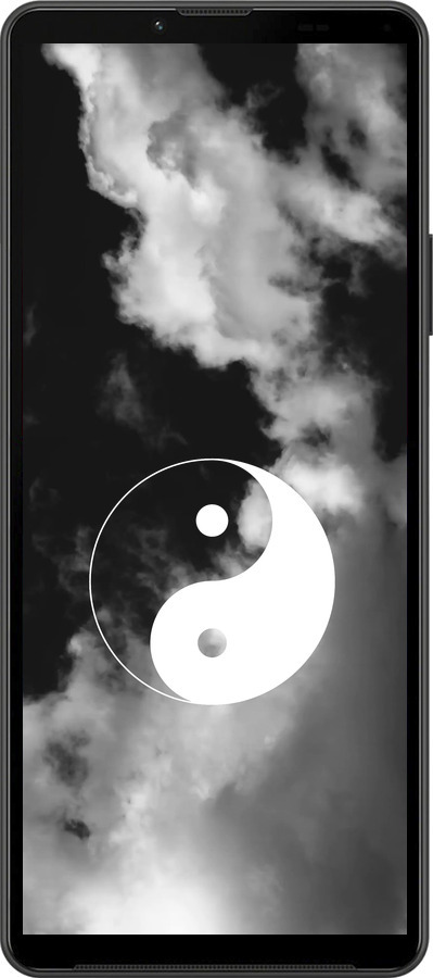 Силиконовый чехол Инь и Янь для Sony Xperia 10 IV - 4389u-2789 изображение 