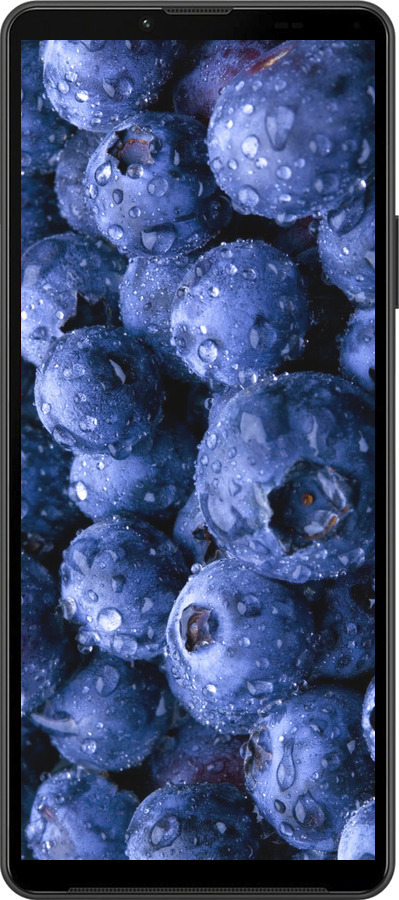 Силиконовый чехол Голубика для Sony Xperia 10 IV - 4459u-2789 изображение 