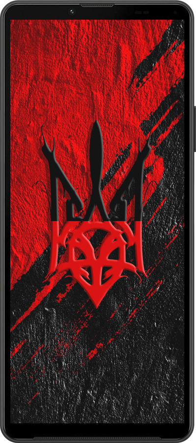 Силиконовый чехол Герб v4 для Sony Xperia 10 IV - 5293u-2789 изображение 