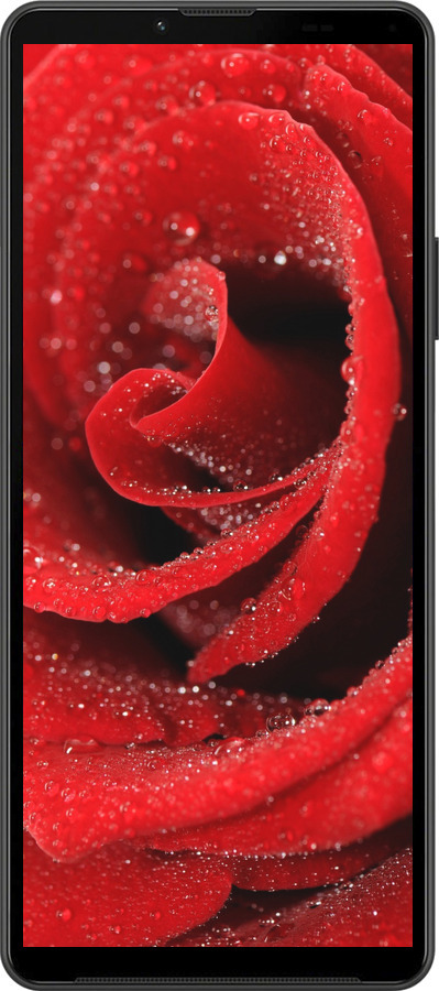 Силиконовый чехол Красная роза для Sony Xperia 10 IV - 529u-2789 изображение 