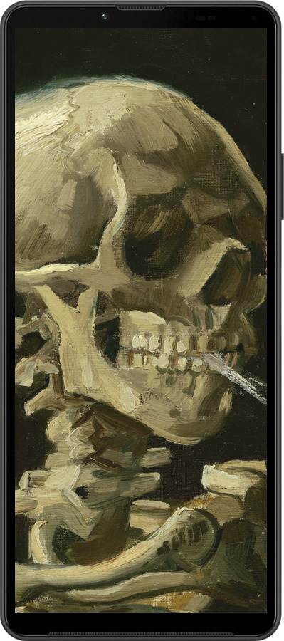 Силиконовый чехол Винсент Ван Гог. Череп для Sony Xperia 10 IV - 5544u-2789 изображение 