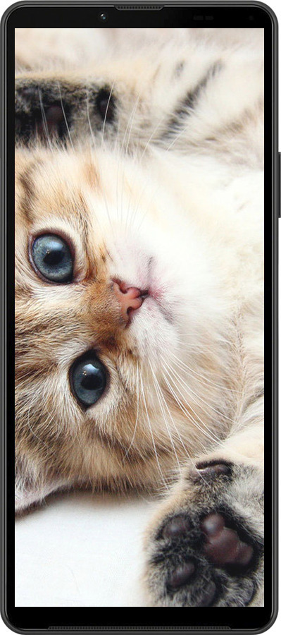 Силіконовий чехол Котик для Sony Xperia 10 IV - 6024u-2789 изображение 