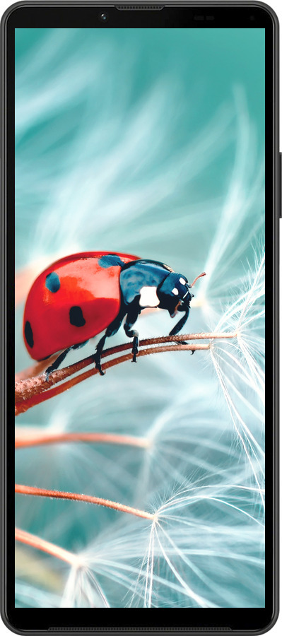 Силиконовый чехол Божья коровка для Sony Xperia 10 IV - 6049u-2789 изображение 