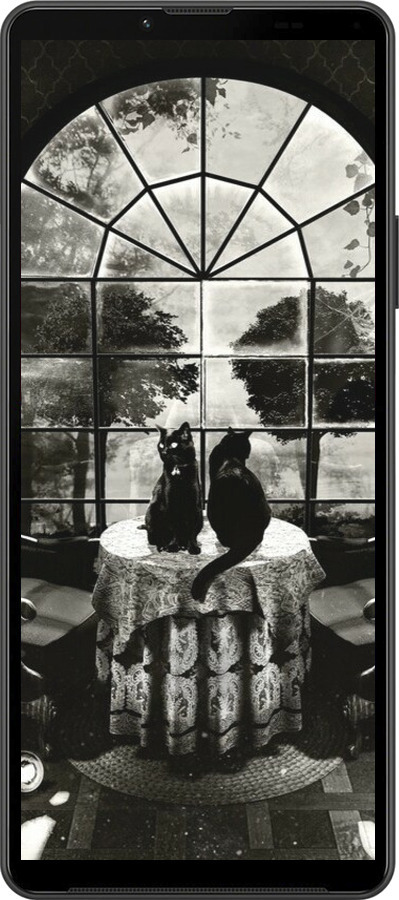 Силиконовый чехол Череп и коты для Sony Xperia 10 IV - 6432u-2789 изображение 