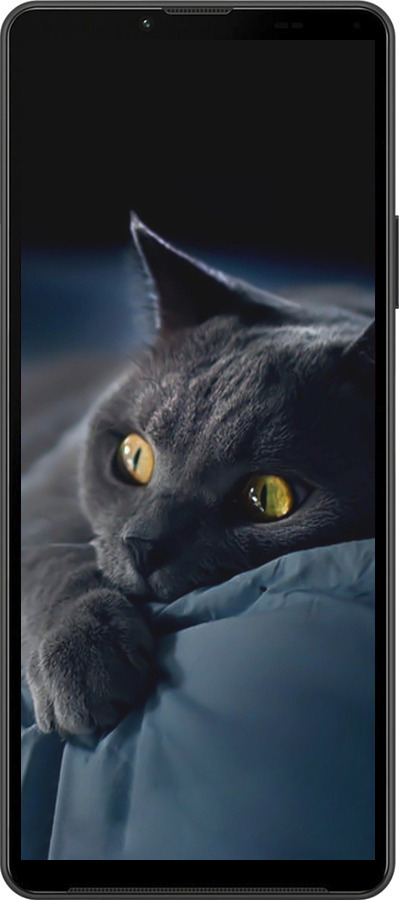 Силиконовый чехол Дымчатый кот для Sony Xperia 10 IV - 825u-2789 изображение 