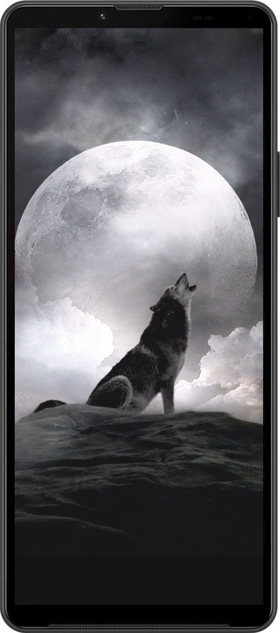 Силиконовый чехол Воющий волк для Sony Xperia 10 IV - 934u-2789 изображение 