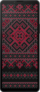 Силиконовый чехол Вышиванка 52 для Sony Xperia 10 VI - 1763u-3976 изображение 