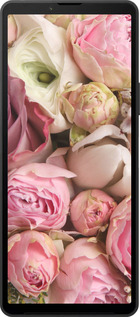 Силиконовый чехол Розы v2 для Sony Xperia 10 VI - 2320u-3976 изображение 