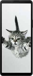 Силиконовый чехол Летящий котёнок для Sony Xperia 10 VI - 2322u-3976 изображение 