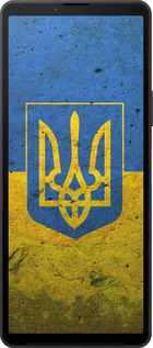 Силиконовый чехол Флаг и герб Украины 2 для Sony Xperia 10 VI - 378u-3976 изображение 