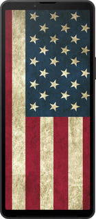 Силиконовый чехол Флаг США для Sony Xperia 10 VI - 395u-3976 изображение 