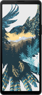 Силиконовый чехол Арт-орел на фоне природы для Sony Xperia 10 VI - 3983u-3976 изображение 