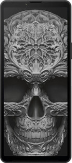 Силиконовый чехол skull-ornament для Sony Xperia 10 VI - 4101u-3976 изображение 
