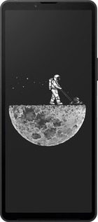 Силиконовый чехол Moon in dark для Sony Xperia 10 VI - 4176u-3976 изображение 