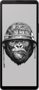 Силіконовий чехол military monkey для Sony Xperia 10 VI - 4177u-3976 изображение 