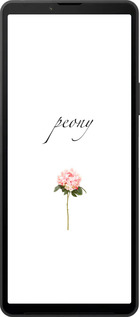 Силіконовий чехол Півонія для Sony Xperia 10 VI - 4366u-3976 изображение 