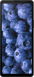 Силиконовый чехол Голубика для Sony Xperia 10 VI - 4459u-3976 изображение 