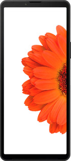 Силиконовый чехол Гербера 1 для Sony Xperia 10 VI - 4534u-3976 изображение 