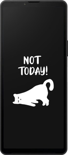 Силиконовый чехол Уставший кот для Sony Xperia 10 VI - 4535u-3976 изображение 