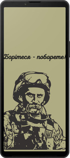 Силиконовый чехол Шевченко v1 для Sony Xperia 10 VI - 5241u-3976 изображение 