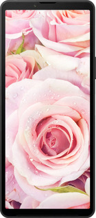 Силиконовый чехол Розы для Sony Xperia 10 VI - 525u-3976 изображение 