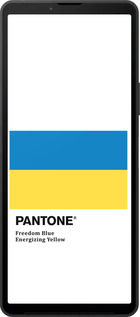 Силиконовый чехол Прапор Пантон для Sony Xperia 10 VI - 5275u-3976 изображение 