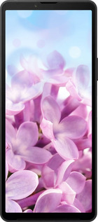 Силіконовий чехол Бузок для Sony Xperia 10 VI - 527u-3976 изображение 