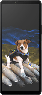 Силиконовый чехол Патрон для Sony Xperia 10 VI - 5320u-3976 изображение 