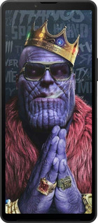 Силиконовый чехол № 5389 для Sony Xperia 10 VI - 5389u-3976 изображение 