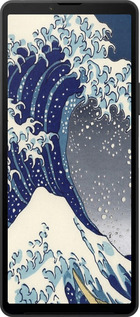 Силиконовый чехол № 5394 для Sony Xperia 10 VI - 5394u-3976 изображение 