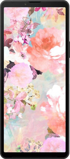 Силиконовый чехол № 5404 для Sony Xperia 10 VI - 5404u-3976 изображение 