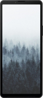 Силиконовый чехол № 5406 для Sony Xperia 10 VI - 5406u-3976 изображение 