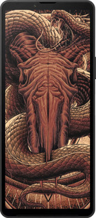 Силиконовый чехол № 5418 для Sony Xperia 10 VI - 5418u-3976 изображение 