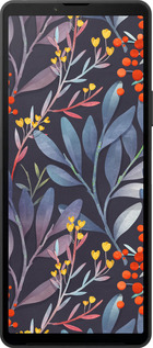 Силиконовый чехол № 5423 для Sony Xperia 10 VI - 5423u-3976 изображение 