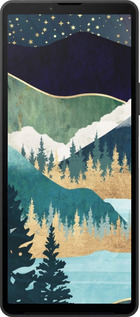 Силиконовый чехол № 5429 для Sony Xperia 10 VI - 5429u-3976 изображение 