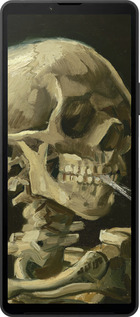 Силиконовый чехол Винсент Ван Гог. Череп для Sony Xperia 10 VI - 5544u-3976 изображение 
