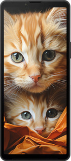 Силіконовий чехол Котики 2 для Sony Xperia 10 VI - 5664u-3976 изображение 