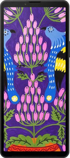 Силиконовый чехол Примаченко5 для Sony Xperia 10 VI - 5913u-3976 изображение 