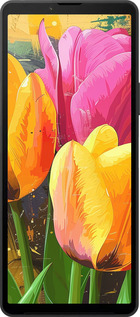 Силиконовый чехол Нарисованные тюльпаны для Sony Xperia 10 VI - 5990u-3976 изображение 