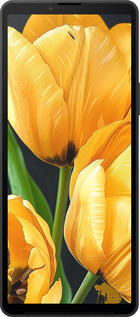 Силиконовый чехол Желтые тюльпаны для Sony Xperia 10 VI - 5991u-3976 изображение 