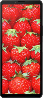 Силиконовый чехол Клубника для Sony Xperia 10 VI - 6020u-3976 изображение 